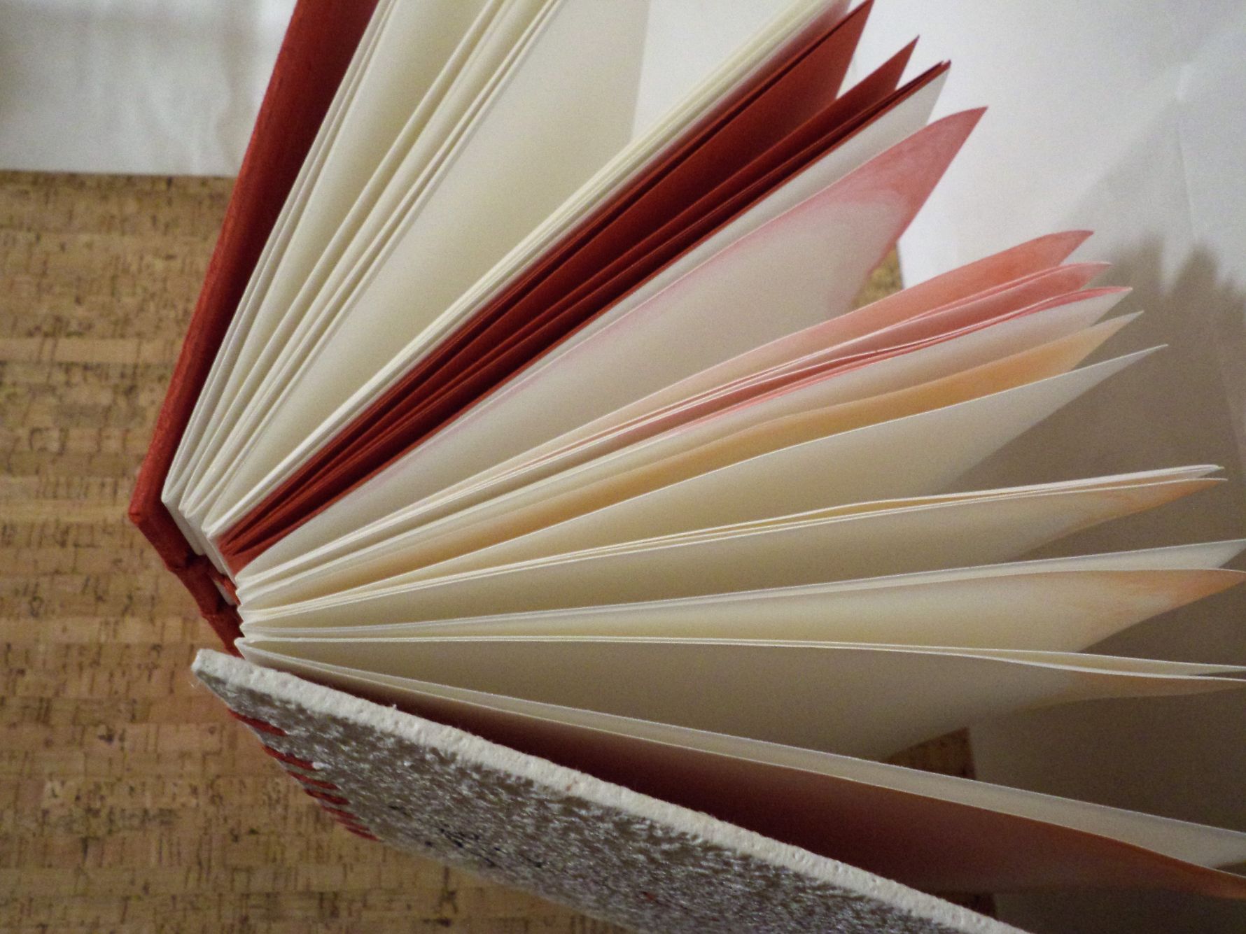 Album personalizzato 25x17- 48 Pagine - Bianco - immagine 8