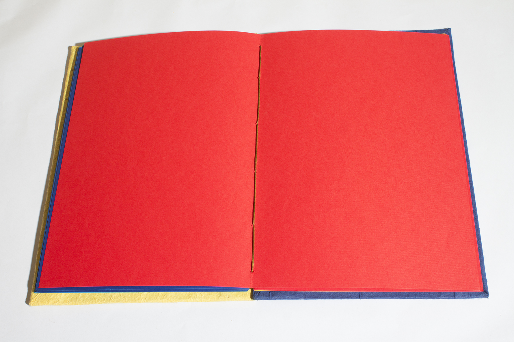 Album personalizzato 38x27 - 52 Pagine Giallo - immagine 6