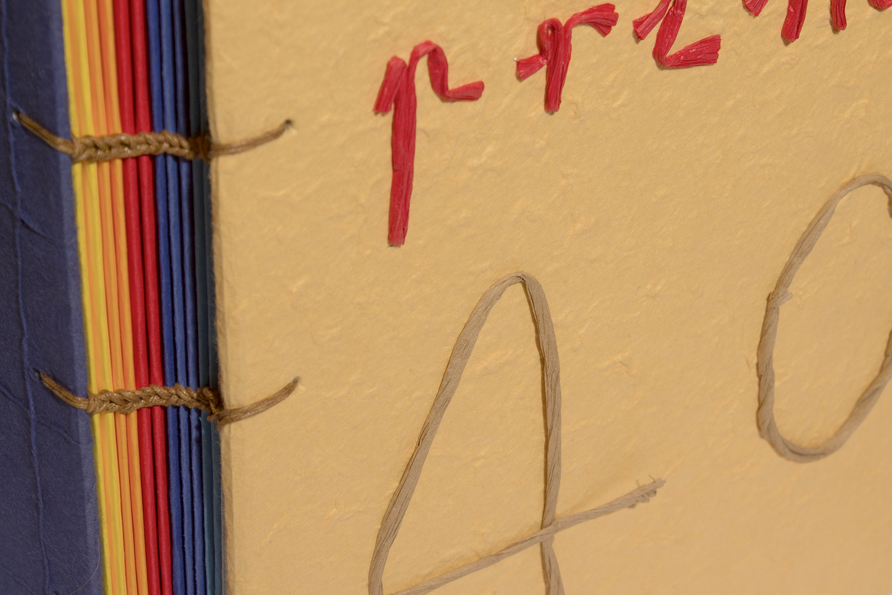 Album personalizzato 38x27 - 52 Pagine Giallo - immagine 12